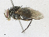  ( - CBG-A17528-B09)  @11 [ ] CreativeCommons - Attribution Share - Alike (2023) CBG Photography Group Centre for Biodiversity Genomics
