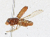  ( - CBG-A17529-B07)  @11 [ ] CreativeCommons - Attribution Share - Alike (2023) CBG Photography Group Centre for Biodiversity Genomics