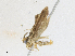  ( - CBG-A17529-D05)  @11 [ ] CreativeCommons - Attribution Share - Alike (2023) CBG Photography Group Centre for Biodiversity Genomics