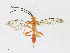  ( - CBG-A17530-B08)  @11 [ ] CreativeCommons - Attribution Share - Alike (2023) CBG Photography Group Centre for Biodiversity Genomics