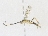  ( - CBG-A17530-B09)  @11 [ ] CreativeCommons - Attribution Share - Alike (2023) CBG Photography Group Centre for Biodiversity Genomics