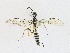  ( - CBG-A17533-B04)  @11 [ ] CreativeCommons - Attribution Share - Alike (2023) CBG Photography Group Centre for Biodiversity Genomics