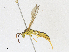  ( - CBG-A17533-B10)  @11 [ ] CreativeCommons - Attribution Share - Alike (2023) CBG Photography Group Centre for Biodiversity Genomics