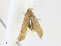  ( - CBG-A17533-E05)  @11 [ ] CreativeCommons - Attribution Share - Alike (2023) CBG Photography Group Centre for Biodiversity Genomics