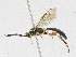  ( - CBG-A17533-E07)  @11 [ ] CreativeCommons - Attribution Share - Alike (2023) CBG Photography Group Centre for Biodiversity Genomics