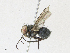  ( - CBG-A17534-C11)  @11 [ ] CreativeCommons - Attribution Share - Alike (2023) CBG Photography Group Centre for Biodiversity Genomics