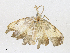  ( - CBG-A17535-A07)  @11 [ ] CreativeCommons - Attribution Share - Alike (2023) CBG Photography Group Centre for Biodiversity Genomics
