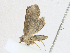  ( - CBG-A17535-C05)  @11 [ ] CreativeCommons - Attribution Share - Alike (2023) CBG Photography Group Centre for Biodiversity Genomics