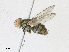  ( - CBG-A17536-A11)  @11 [ ] CreativeCommons - Attribution Share - Alike (2023) CBG Photography Group Centre for Biodiversity Genomics