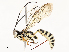  ( - CBG-A53620-C02)  @11 [ ] CreativeCommons - Attribution Share - Alike (2024) CBG Photography Group Centre for Biodiversity Genomics
