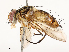  ( - CBG-A53620-D09)  @11 [ ] CreativeCommons - Attribution Share - Alike (2024) CBG Photography Group Centre for Biodiversity Genomics