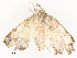  ( - CBG-A53620-H03)  @11 [ ] CreativeCommons - Attribution Share - Alike (2024) CBG Photography Group Centre for Biodiversity Genomics