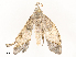  ( - CBG-A53620-H04)  @11 [ ] CreativeCommons - Attribution Share - Alike (2024) CBG Photography Group Centre for Biodiversity Genomics