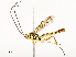  ( - CBG-A54409-C01)  @11 [ ] CreativeCommons - Attribution Share - Alike (2024) CBG Photography Group Centre for Biodiversity Genomics