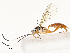  ( - CBG-A54412-B07)  @11 [ ] CreativeCommons - Attribution Share - Alike (2024) CBG Photography Group Centre for Biodiversity Genomics