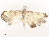  ( - CBG-A54412-H10)  @11 [ ] CreativeCommons - Attribution Share - Alike (2024) CBG Photography Group Centre for Biodiversity Genomics