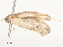  ( - CBG-A54414-A09)  @11 [ ] CreativeCommons - Attribution Share - Alike (2024) CBG Photography Group Centre for Biodiversity Genomics