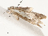  ( - CBG-A54414-A10)  @11 [ ] CreativeCommons - Attribution Share - Alike (2024) CBG Photography Group Centre for Biodiversity Genomics
