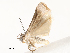  ( - CBG-A54414-B12)  @11 [ ] CreativeCommons - Attribution Share - Alike (2024) CBG Photography Group Centre for Biodiversity Genomics
