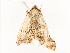  ( - CBG-A54414-D07)  @11 [ ] CreativeCommons - Attribution Share - Alike (2024) CBG Photography Group Centre for Biodiversity Genomics