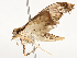  ( - CBG-A54415-A05)  @11 [ ] CreativeCommons - Attribution Share - Alike (2024) CBG Photography Group Centre for Biodiversity Genomics