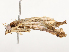  ( - CBG-A54415-A06)  @11 [ ] CreativeCommons - Attribution Share - Alike (2024) CBG Photography Group Centre for Biodiversity Genomics