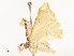  (geoMalaise01 Malaise4940 - CBG-A54415-E12)  @11 [ ] CreativeCommons - Attribution Share - Alike (2024) CBG Photography Group Centre for Biodiversity Genomics