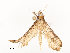  ( - CBG-A54415-F01)  @11 [ ] CreativeCommons - Attribution Share - Alike (2024) CBG Photography Group Centre for Biodiversity Genomics
