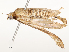  ( - CBG-A54415-F03)  @11 [ ] CreativeCommons - Attribution Share - Alike (2024) CBG Photography Group Centre for Biodiversity Genomics