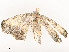  ( - CBG-A54450-F04)  @11 [ ] CreativeCommons - Attribution Share - Alike (2024) CBG Photography Group Centre for Biodiversity Genomics
