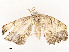  ( - CBG-A54450-F05)  @11 [ ] CreativeCommons - Attribution Share - Alike (2024) CBG Photography Group Centre for Biodiversity Genomics