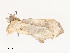  ( - CBG-A54451-A05)  @11 [ ] CreativeCommons - Attribution Share - Alike (2024) CBG Photography Group Centre for Biodiversity Genomics