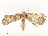  ( - CBG-A54451-D11)  @11 [ ] CreativeCommons - Attribution Share - Alike (2024) CBG Photography Group Centre for Biodiversity Genomics