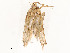  ( - CBG-A54451-H04)  @11 [ ] CreativeCommons - Attribution Share - Alike (2024) CBG Photography Group Centre for Biodiversity Genomics