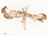  ( - CBG-A58569-B10)  @11 [ ] CreativeCommons - Attribution Share - Alike (2024) CBG Photography Group Centre for Biodiversity Genomics