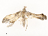  ( - CBG-A58569-B11)  @11 [ ] CreativeCommons - Attribution Share - Alike (2024) CBG Photography Group Centre for Biodiversity Genomics