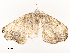  ( - CBG-A58569-C04)  @11 [ ] CreativeCommons - Attribution Share - Alike (2024) CBG Photography Group Centre for Biodiversity Genomics