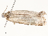  ( - CBG-A58569-C11)  @11 [ ] CreativeCommons - Attribution Share - Alike (2024) CBG Photography Group Centre for Biodiversity Genomics