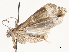  ( - CBG-A58570-A11)  @11 [ ] CreativeCommons - Attribution Share - Alike (2024) CBG Photography Group Centre for Biodiversity Genomics