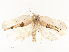  ( - CBG-A58570-B09)  @11 [ ] CreativeCommons - Attribution Share - Alike (2024) CBG Photography Group Centre for Biodiversity Genomics