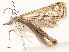  ( - CBG-A58571-B05)  @11 [ ] CreativeCommons - Attribution Share - Alike (2024) CBG Photography Group Centre for Biodiversity Genomics