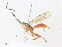  ( - CBG-A33465-E11)  @11 [ ] CreativeCommons - Attribution Share - Alike (2024) CBG Photography Group Centre for Biodiversity Genomics