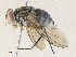  ( - CBG-A33468-C03)  @11 [ ] CreativeCommons - Attribution Share - Alike (2024) CBG Photography Group Centre for Biodiversity Genomics