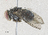  ( - CBG-A33468-C04)  @11 [ ] CreativeCommons - Attribution Share - Alike (2024) CBG Photography Group Centre for Biodiversity Genomics