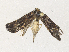  ( - CBG-A34312-C05)  @11 [ ] CreativeCommons - Attribution Share - Alike (2024) CBG Photography Group Centre for Biodiversity Genomics