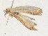  ( - CBG-A34312-F02)  @11 [ ] CreativeCommons - Attribution Share - Alike (2024) CBG Photography Group Centre for Biodiversity Genomics