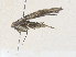  ( - CBG-A34313-A05)  @11 [ ] CreativeCommons - Attribution Share - Alike (2024) CBG Photography Group Centre for Biodiversity Genomics
