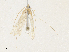  ( - CBG-A34313-G09)  @11 [ ] CreativeCommons - Attribution Share - Alike (2024) CBG Photography Group Centre for Biodiversity Genomics