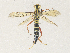 ( - CBG-A34314-E05)  @11 [ ] CreativeCommons - Attribution Share - Alike (2024) CBG Photography Group Centre for Biodiversity Genomics