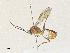 ( - CBG-A34315-C06)  @11 [ ] CreativeCommons - Attribution Share - Alike (2024) CBG Photography Group Centre for Biodiversity Genomics